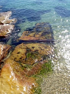 Rocks at Manly beach, Sydney, Australia