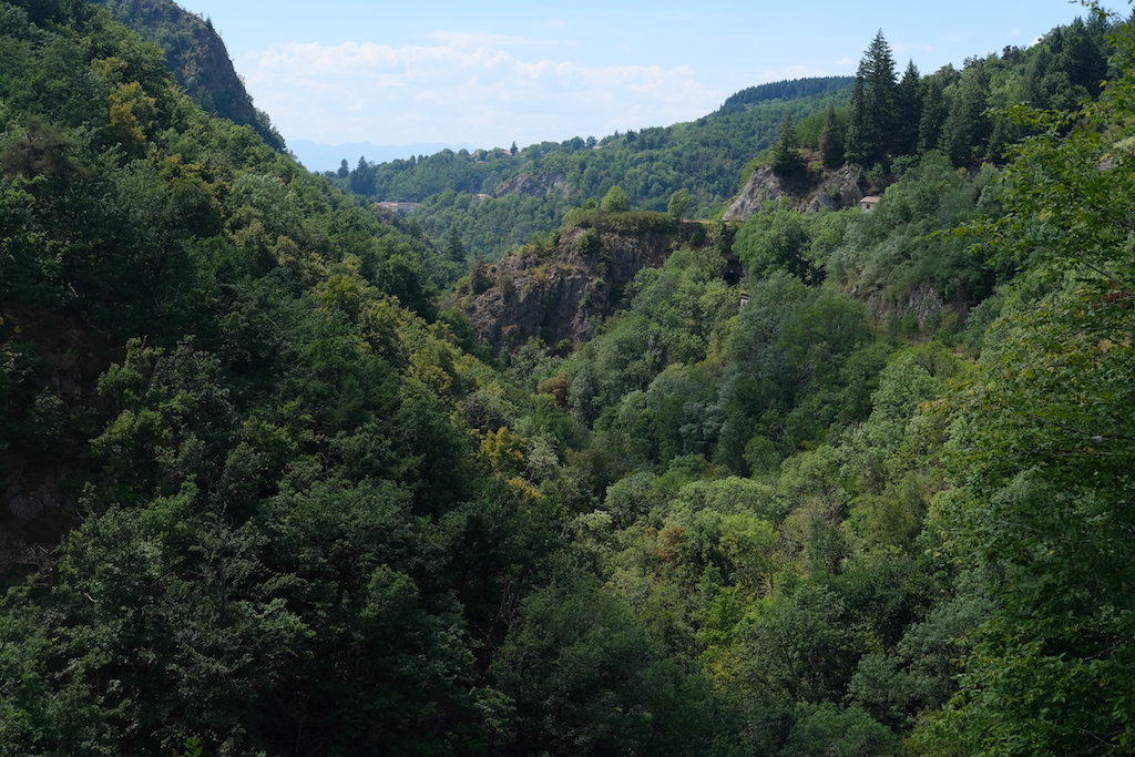 Photograph of a forested valley